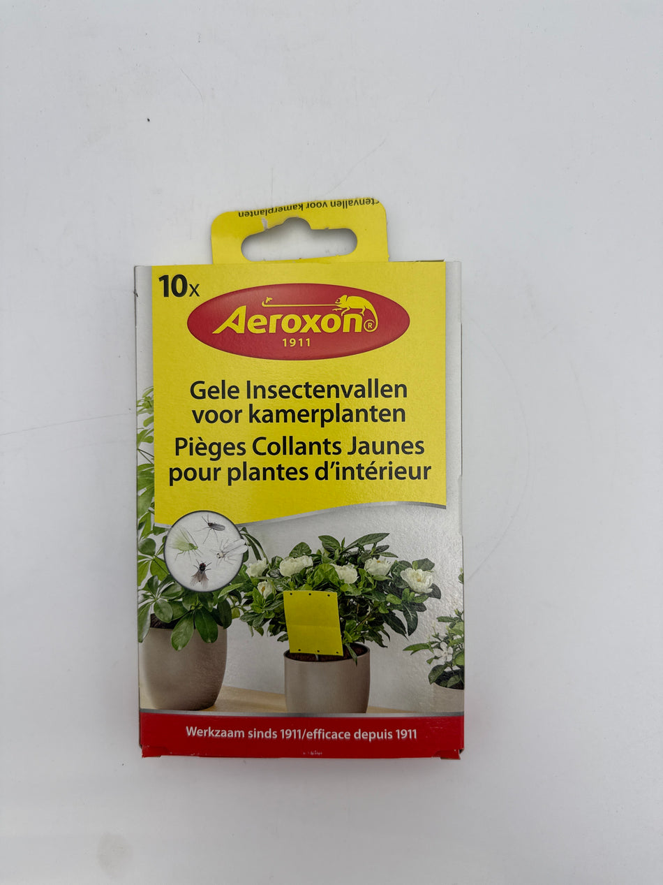 Aeroxon gele insectenvallen