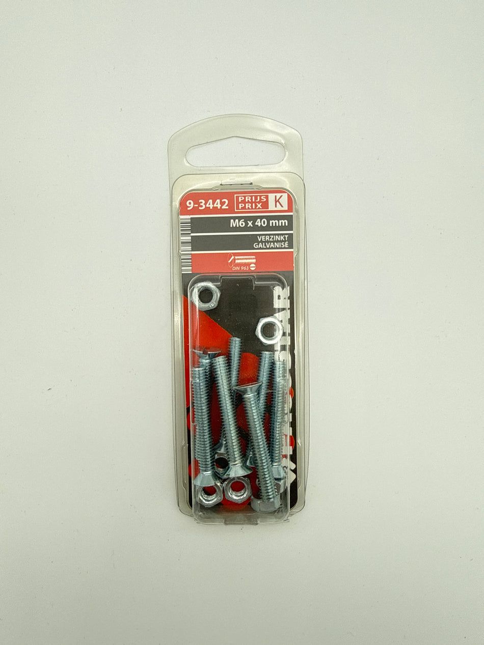 Metaalbouten platte kop + moer - M6 x 40 mm