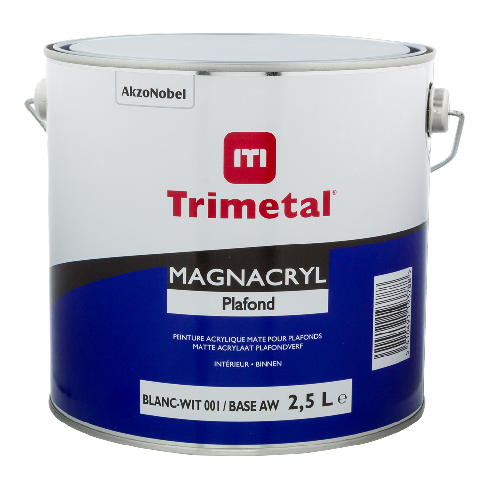 Magnacryl Plafond