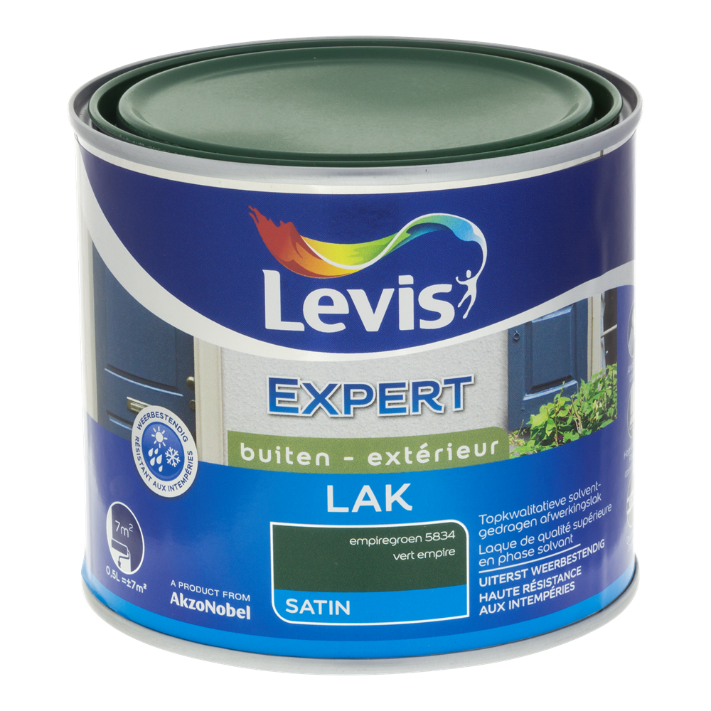 Expert Hout Lak Buiten Satin