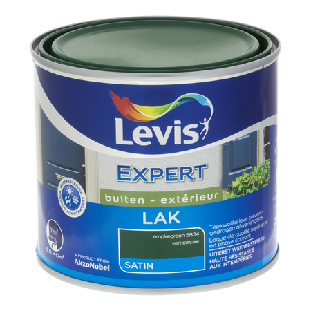 Expert Hout Lak Buiten Satin