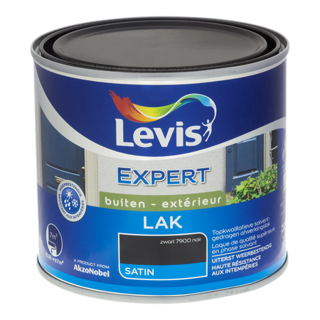 Expert Hout Lak Buiten Satin