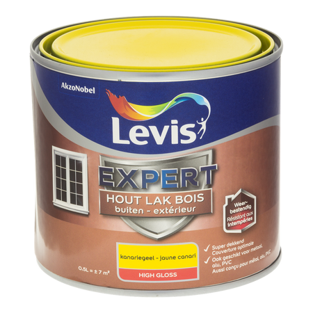 Expert Hout Lak Buiten High Gloss