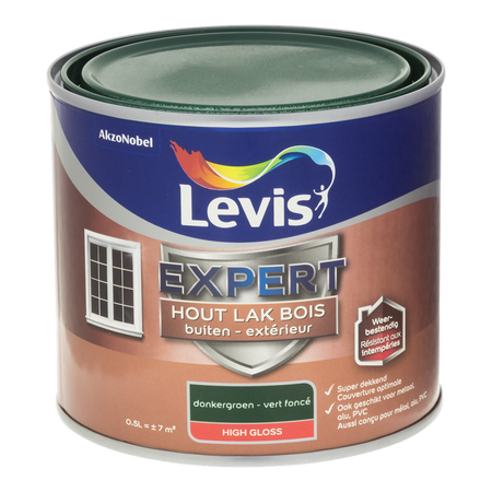 Expert Hout Lak Buiten High Gloss