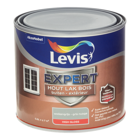 Expert Hout Lak Buiten High Gloss