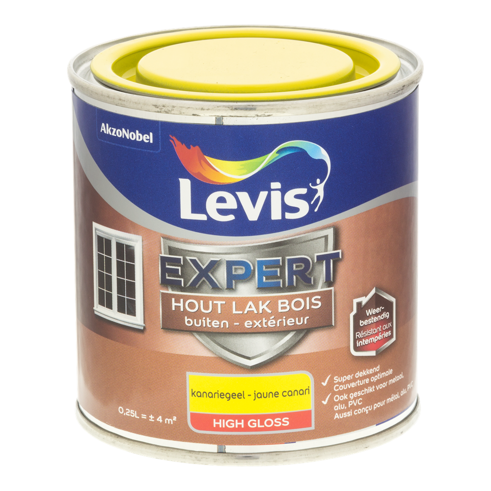 Expert Hout Lak Buiten High Gloss