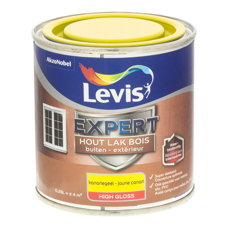 Expert Hout Lak Buiten High Gloss
