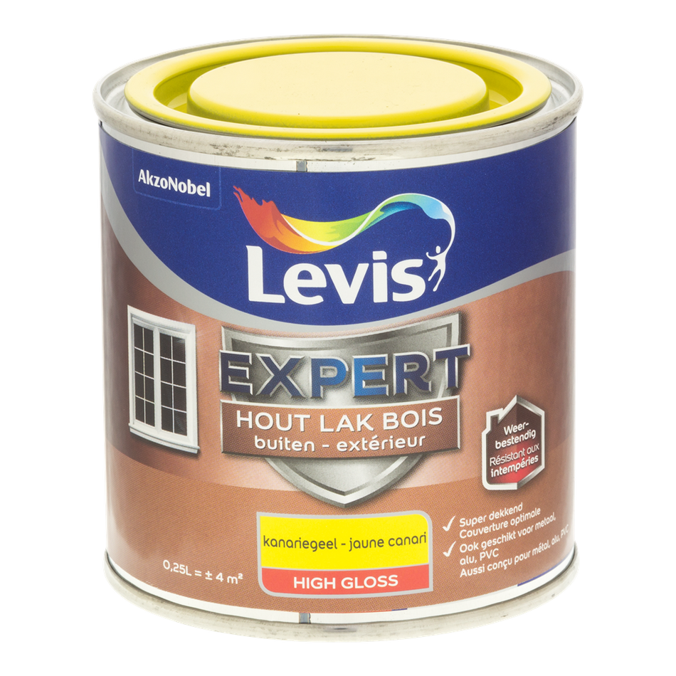 Expert Hout Lak Buiten High Gloss