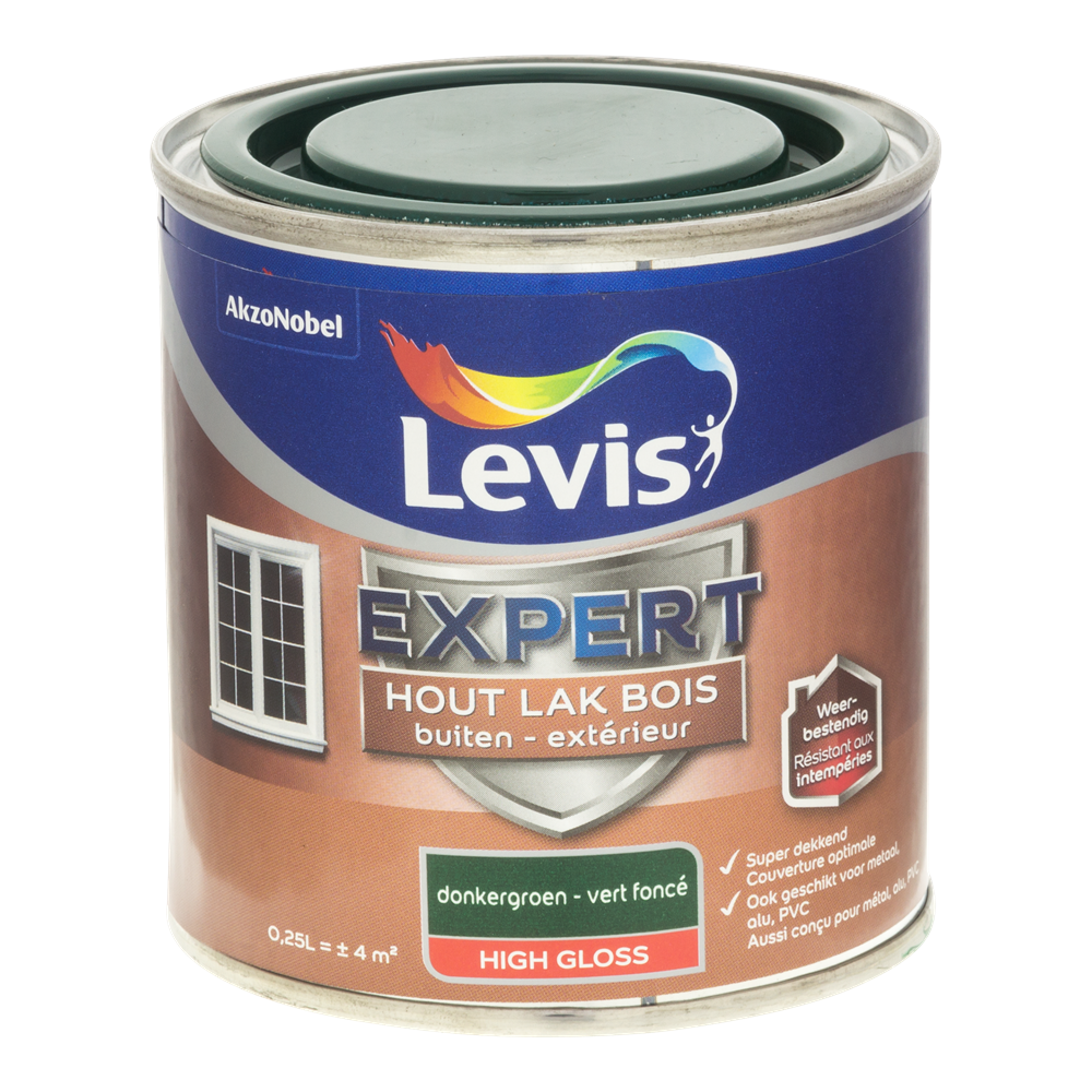 Expert Hout Lak Buiten High Gloss