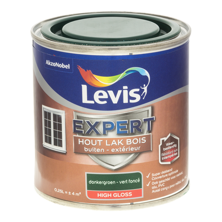 Expert Hout Lak Buiten High Gloss