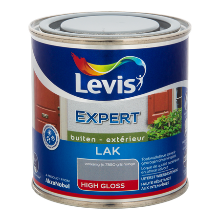 Expert Hout Lak Buiten High Gloss