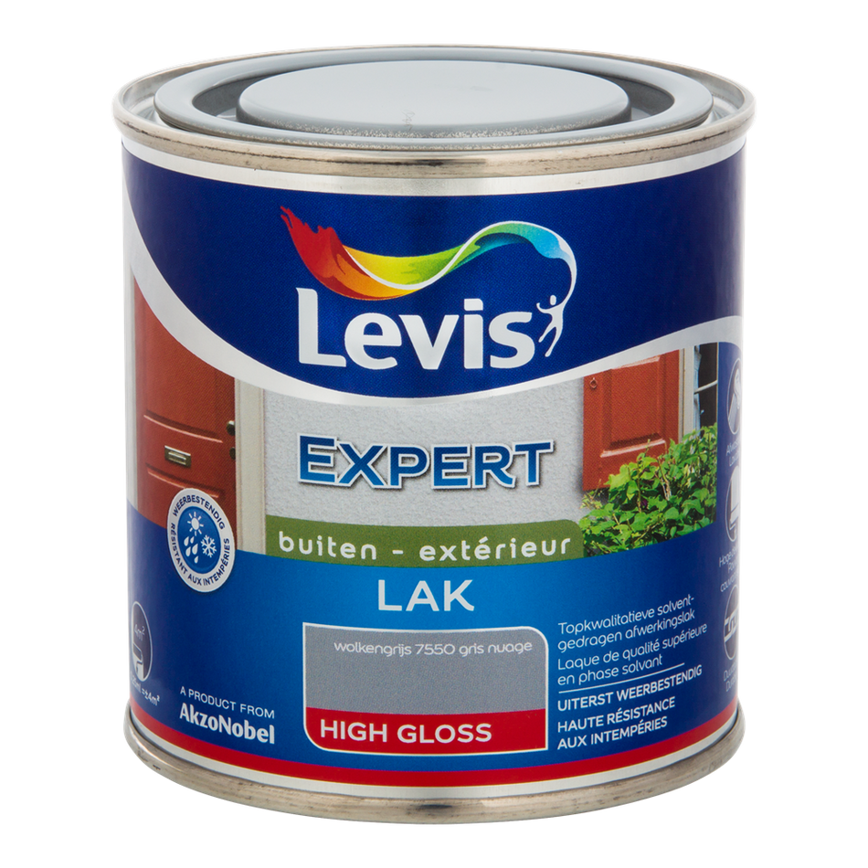 Expert Hout Lak Buiten High Gloss
