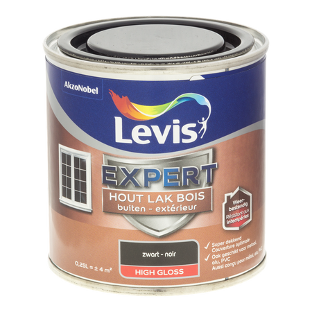 Expert Hout Lak Buiten High Gloss