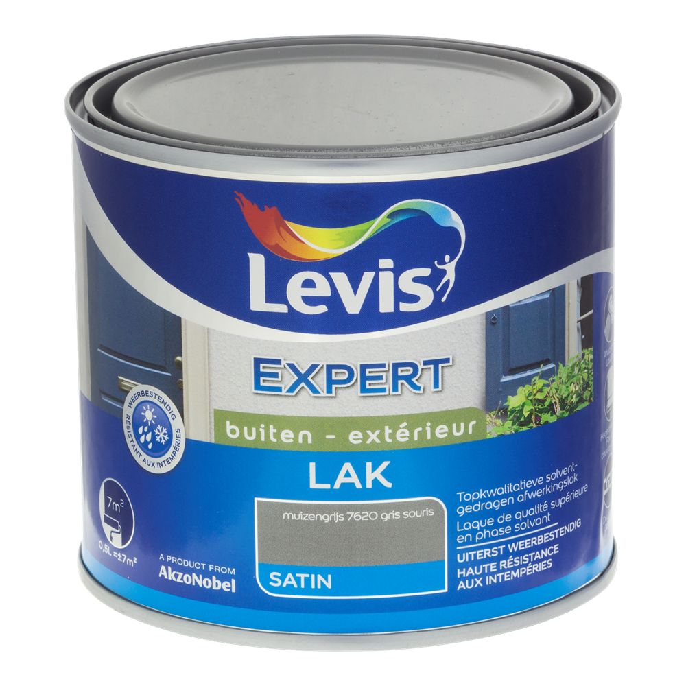 Expert Hout Lak Buiten Satin