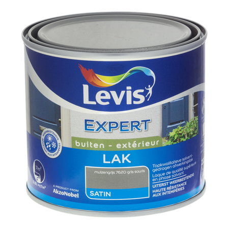 Expert Hout Lak Buiten Satin