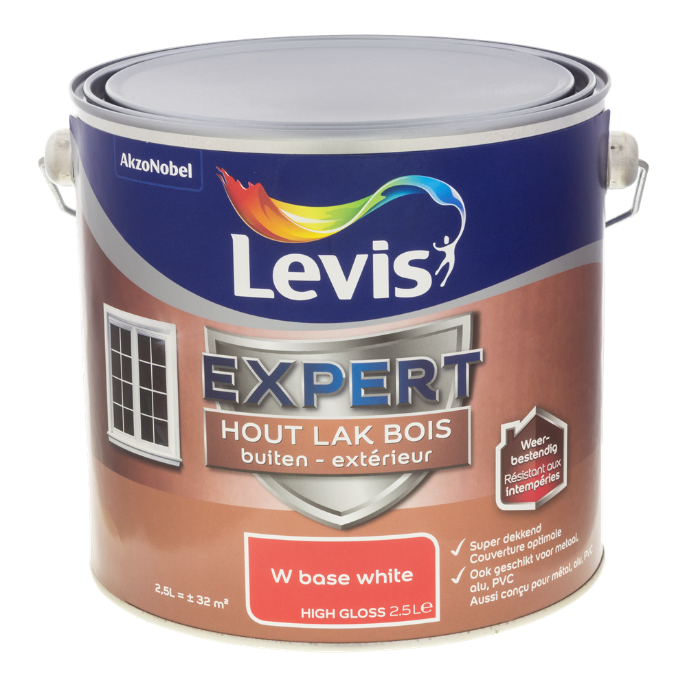 Expert Hout Lak Buiten High Gloss Mix