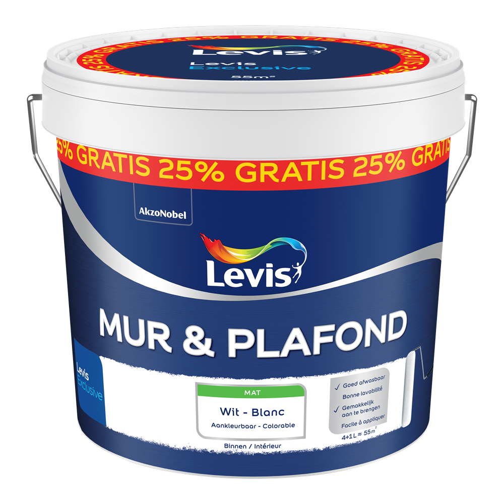 Mur & Plafond
