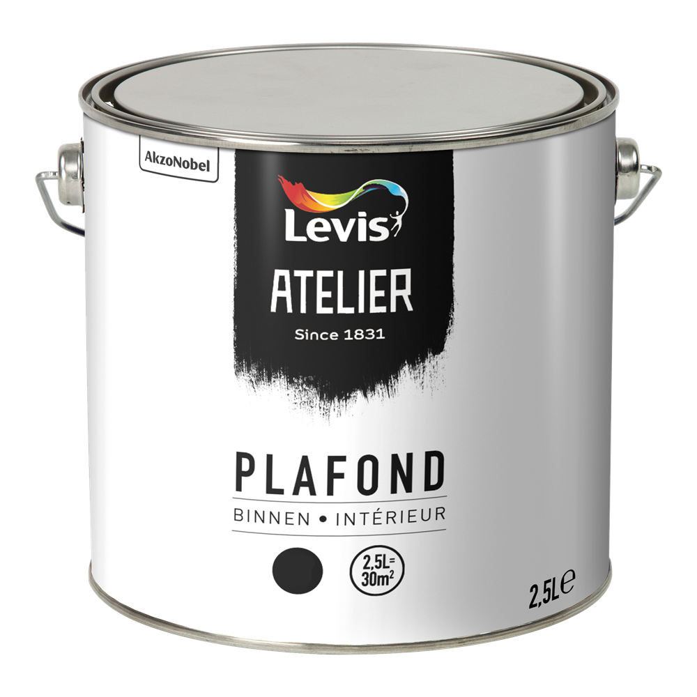 Atelier Plafond Binnen