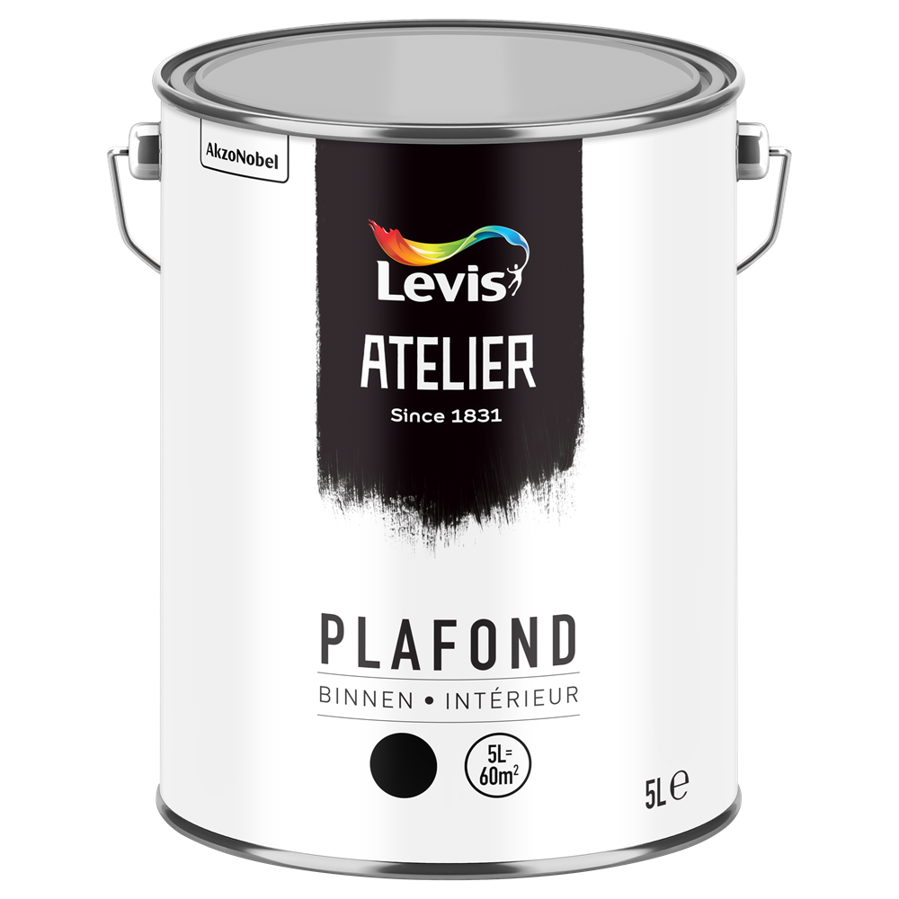 Atelier Plafond Binnen