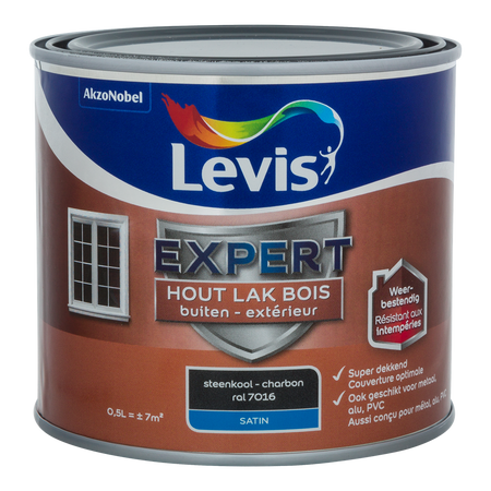 Expert Hout Lak Buiten Satin