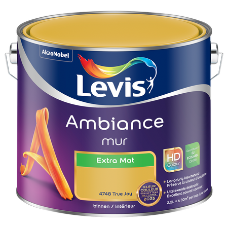 Ambiance Mur Extra Mat