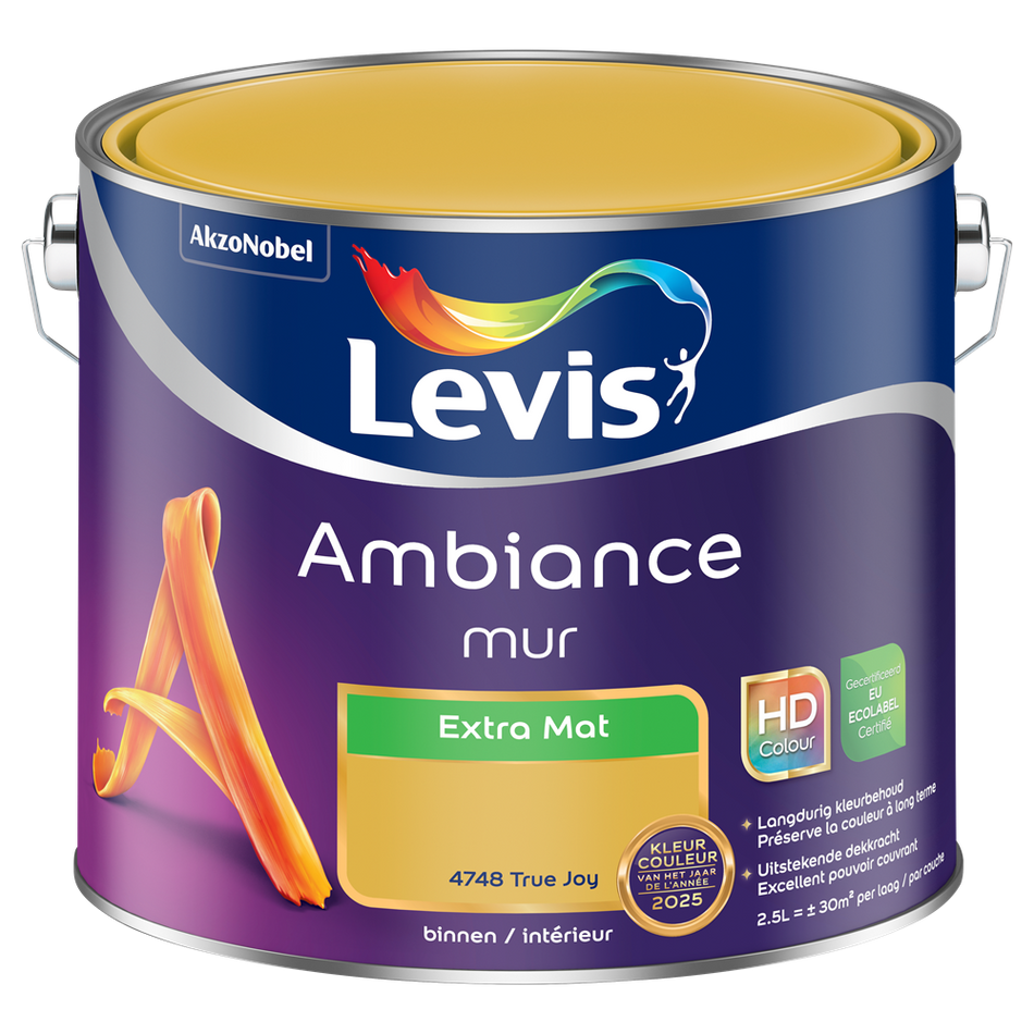 Ambiance Mur Extra Mat