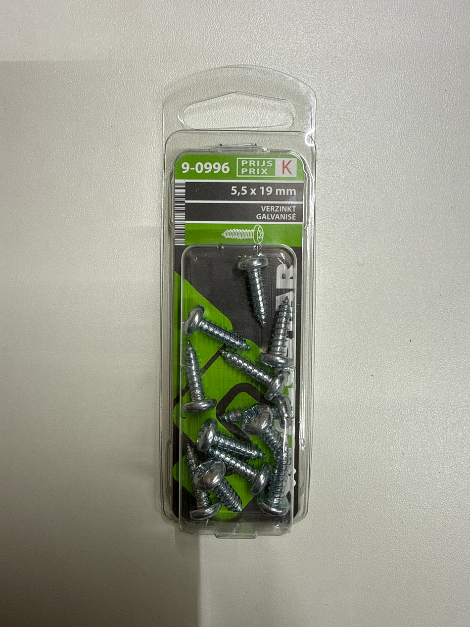 Verzinkt 5,5x19 mm