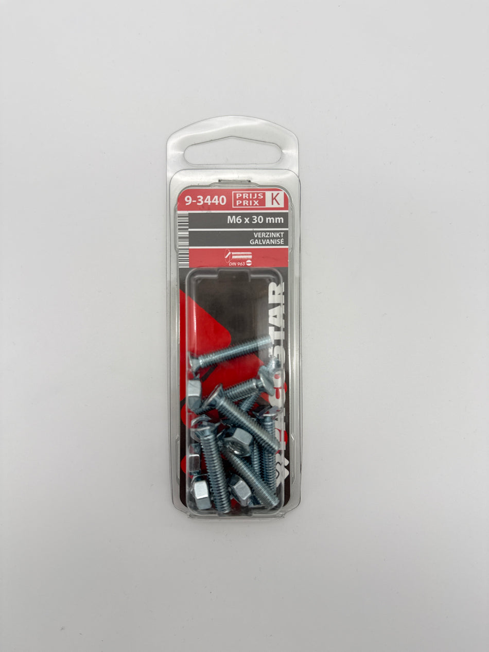 Metaalbouten platte kop + moer - M6 x 30 mm