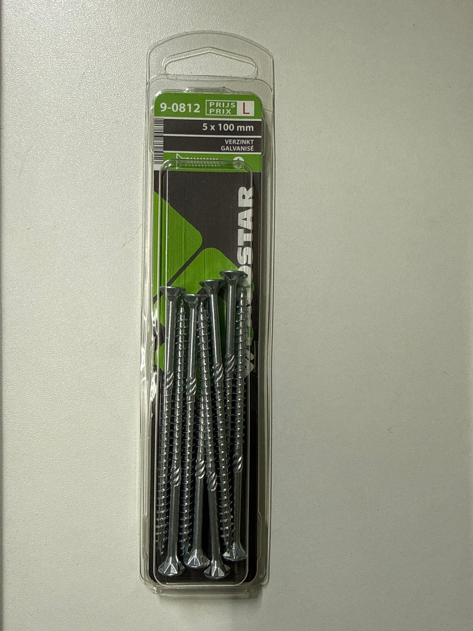 Verzinkt 5x100mm