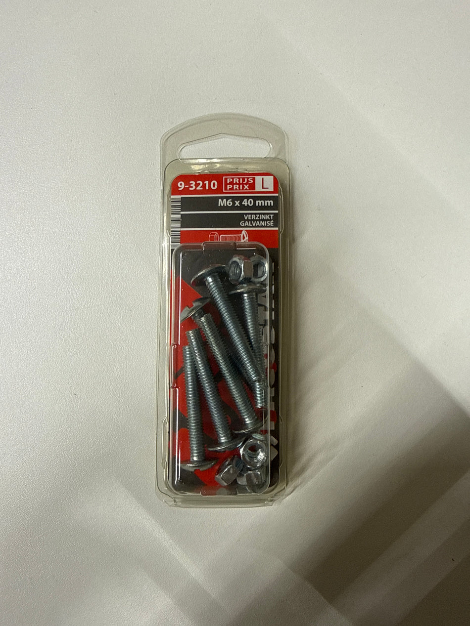 Verzinkt m6x40mm