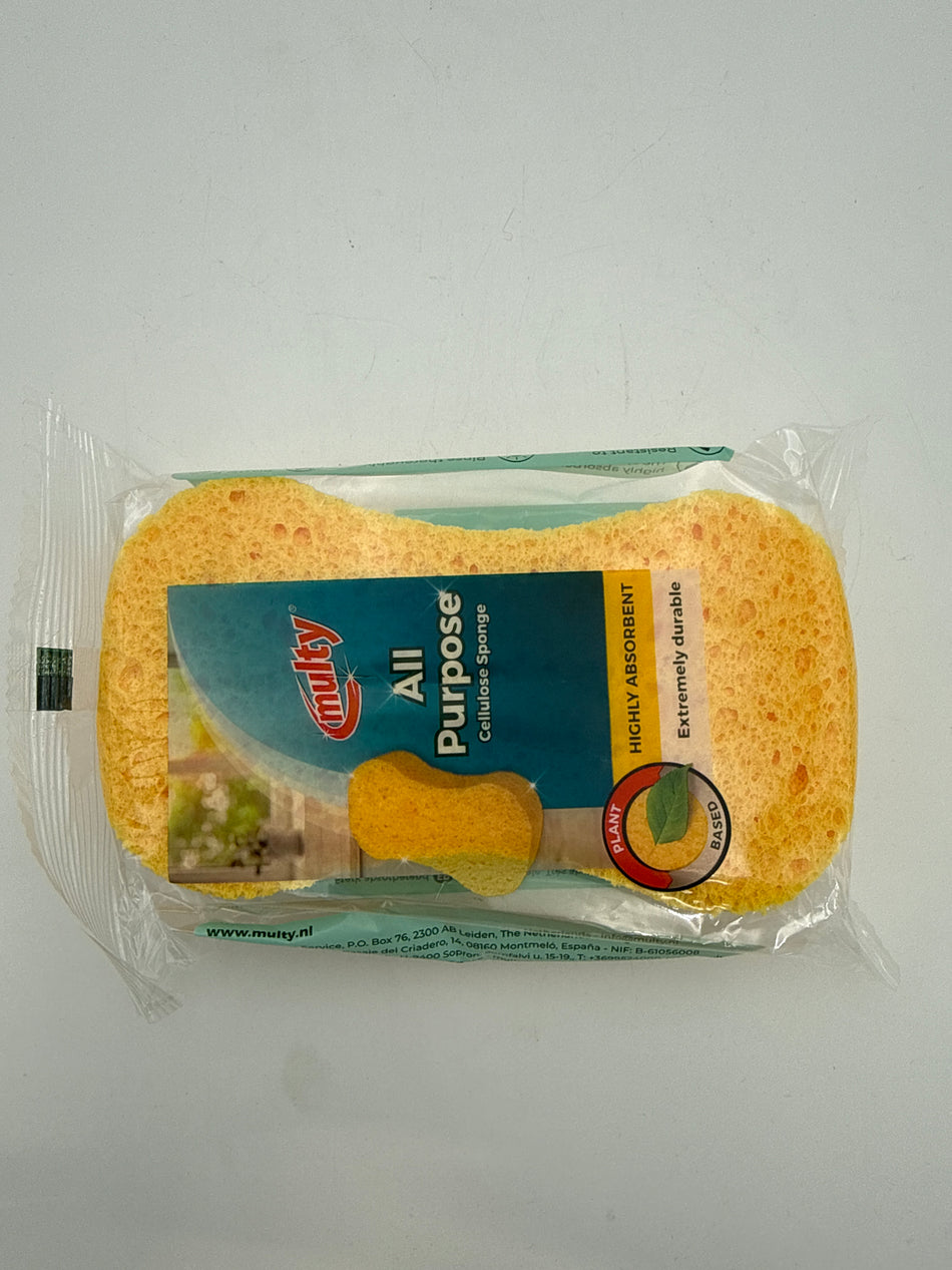 Sponge