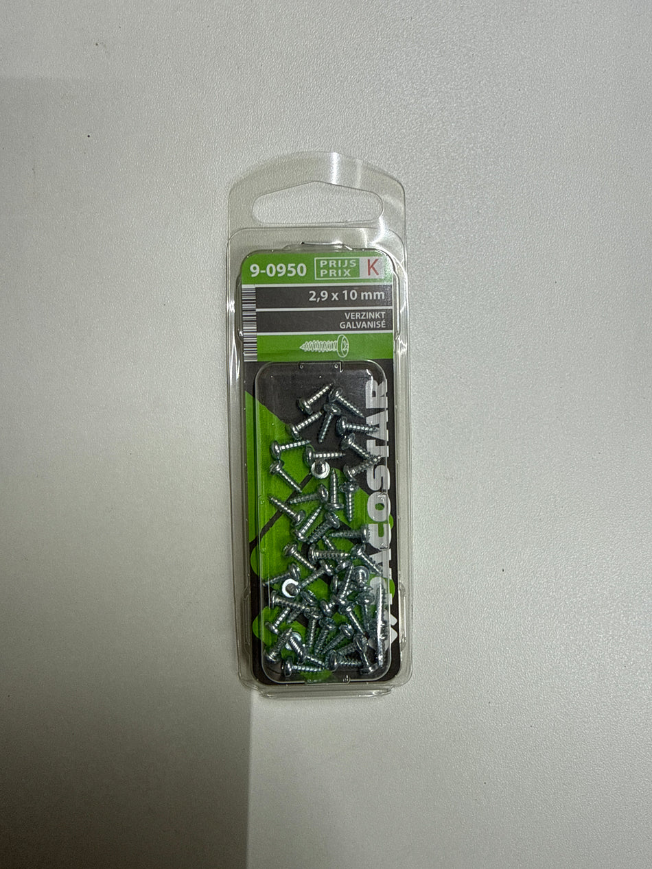 Verzinkt 2,9x10mm