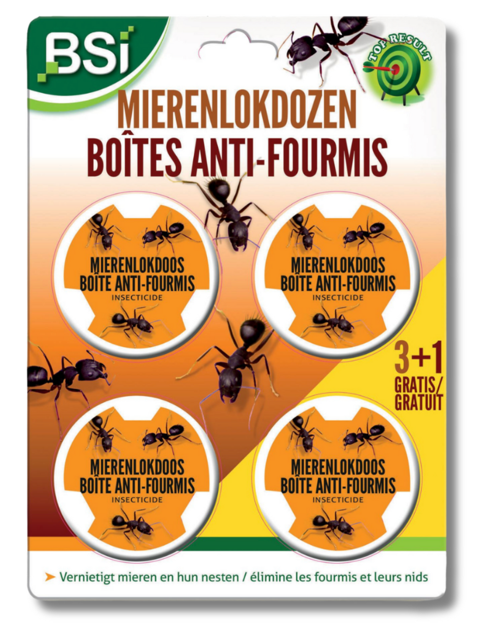 BSI AMP Mierenlokdozen 4 Stuks – Voor Binnen- en Buitengebruik