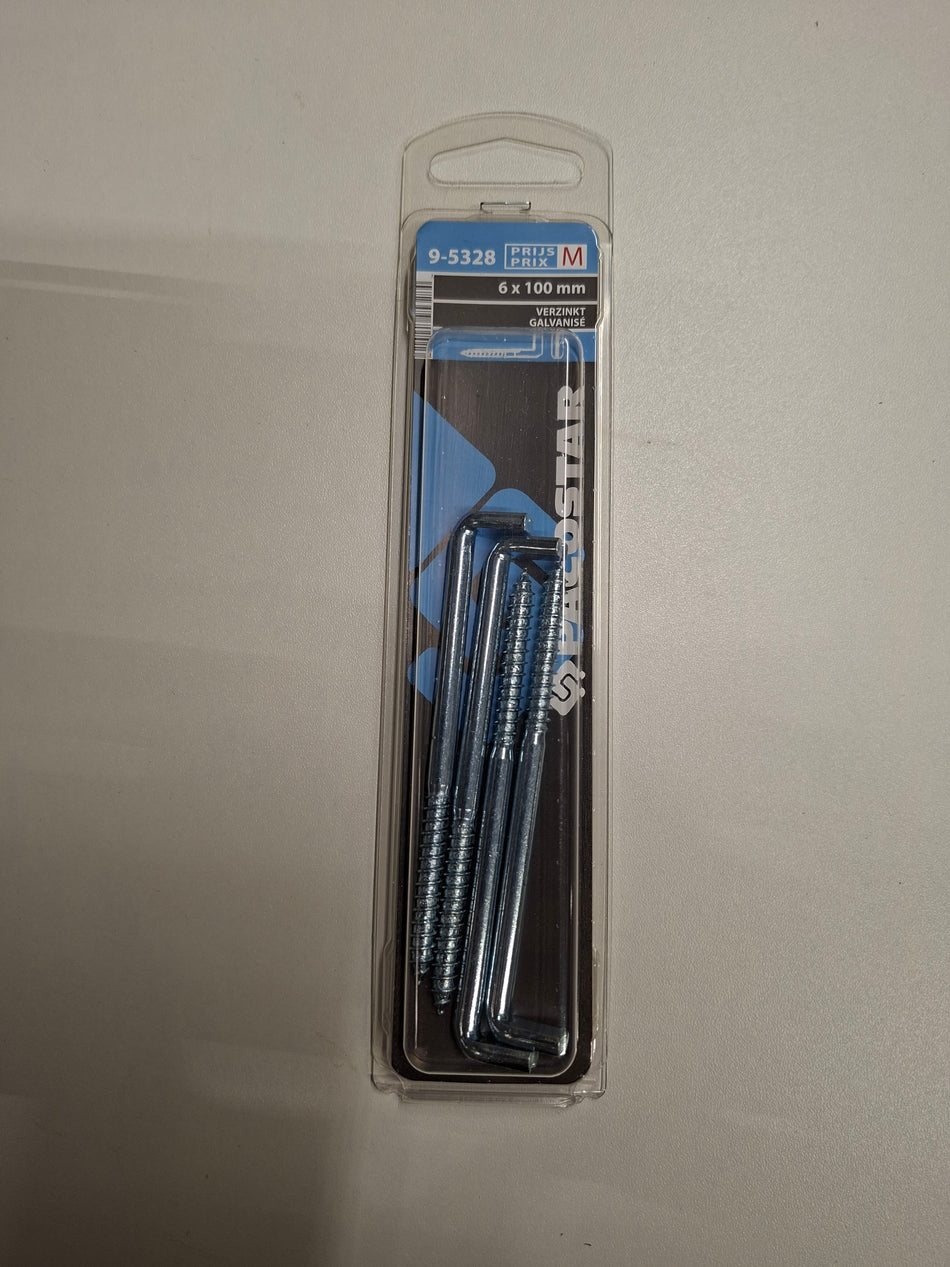 Verzinkt 6x100mm