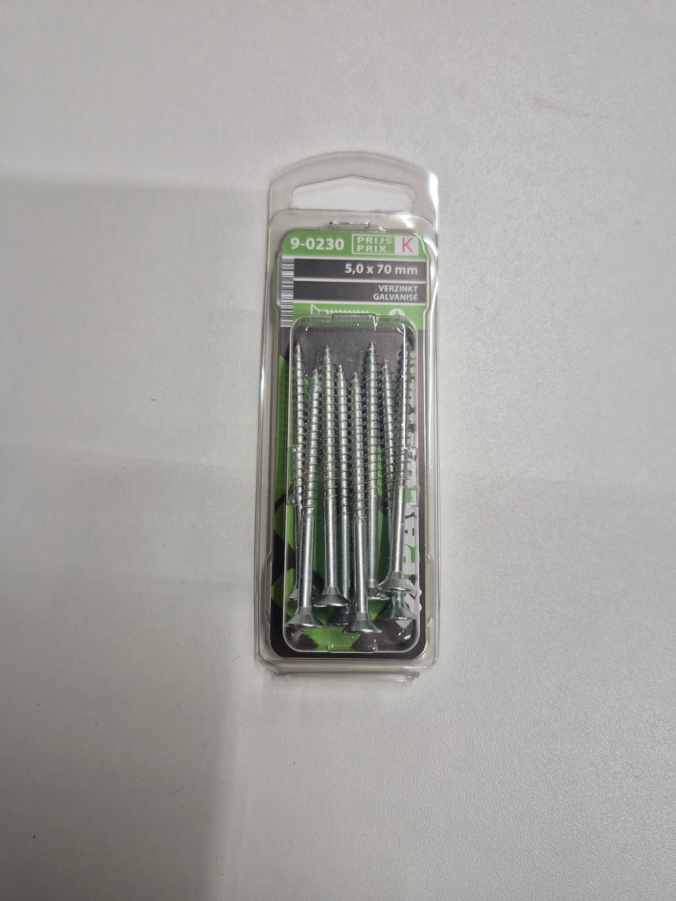 Verzinkt 5,0x70mm
