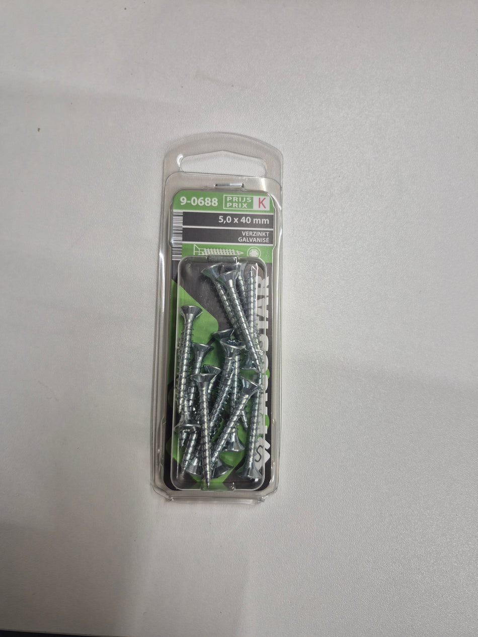 Verzinkt 5,0x40mm