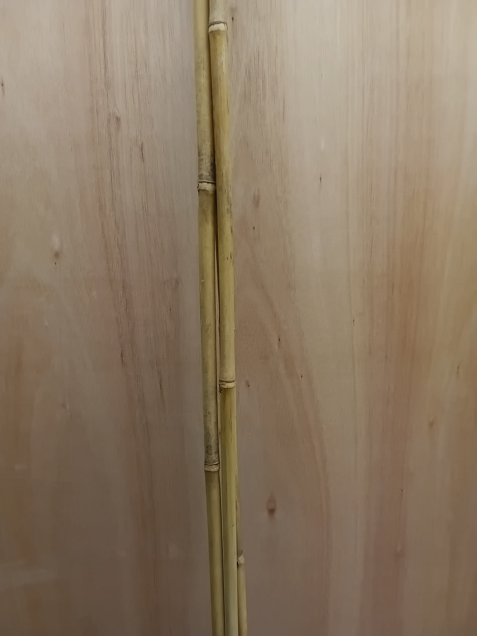 Bamboestokken 210cm