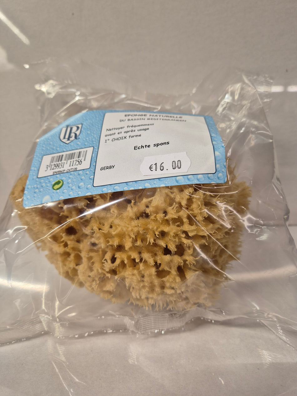 Natuurspons