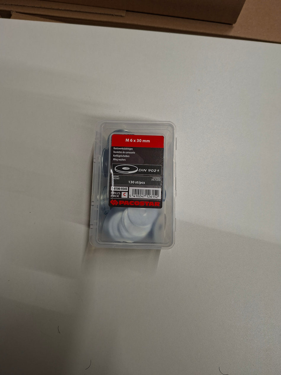 Koetswerksluitrigen M6x30mm