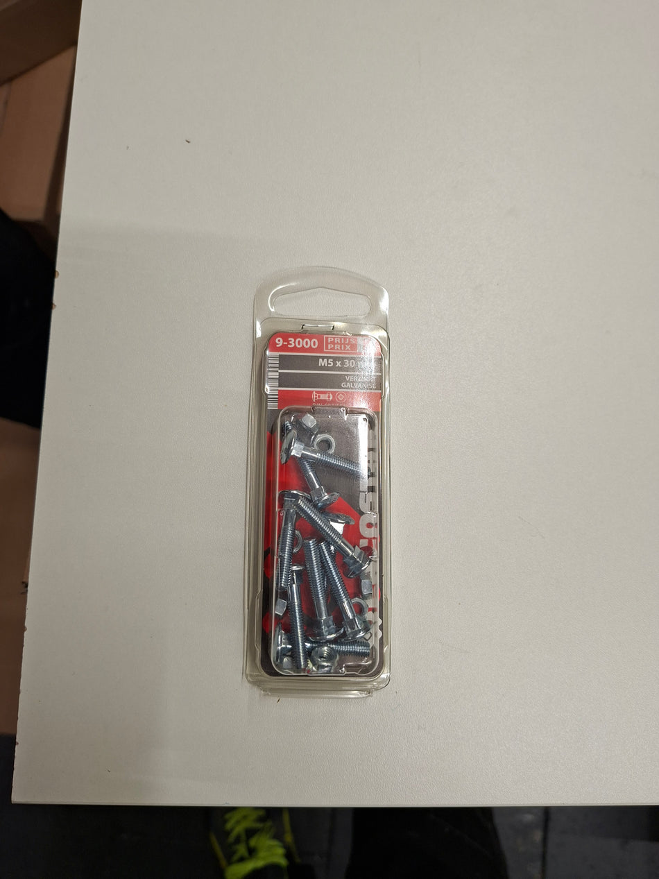 Verzinkt M5x30mm