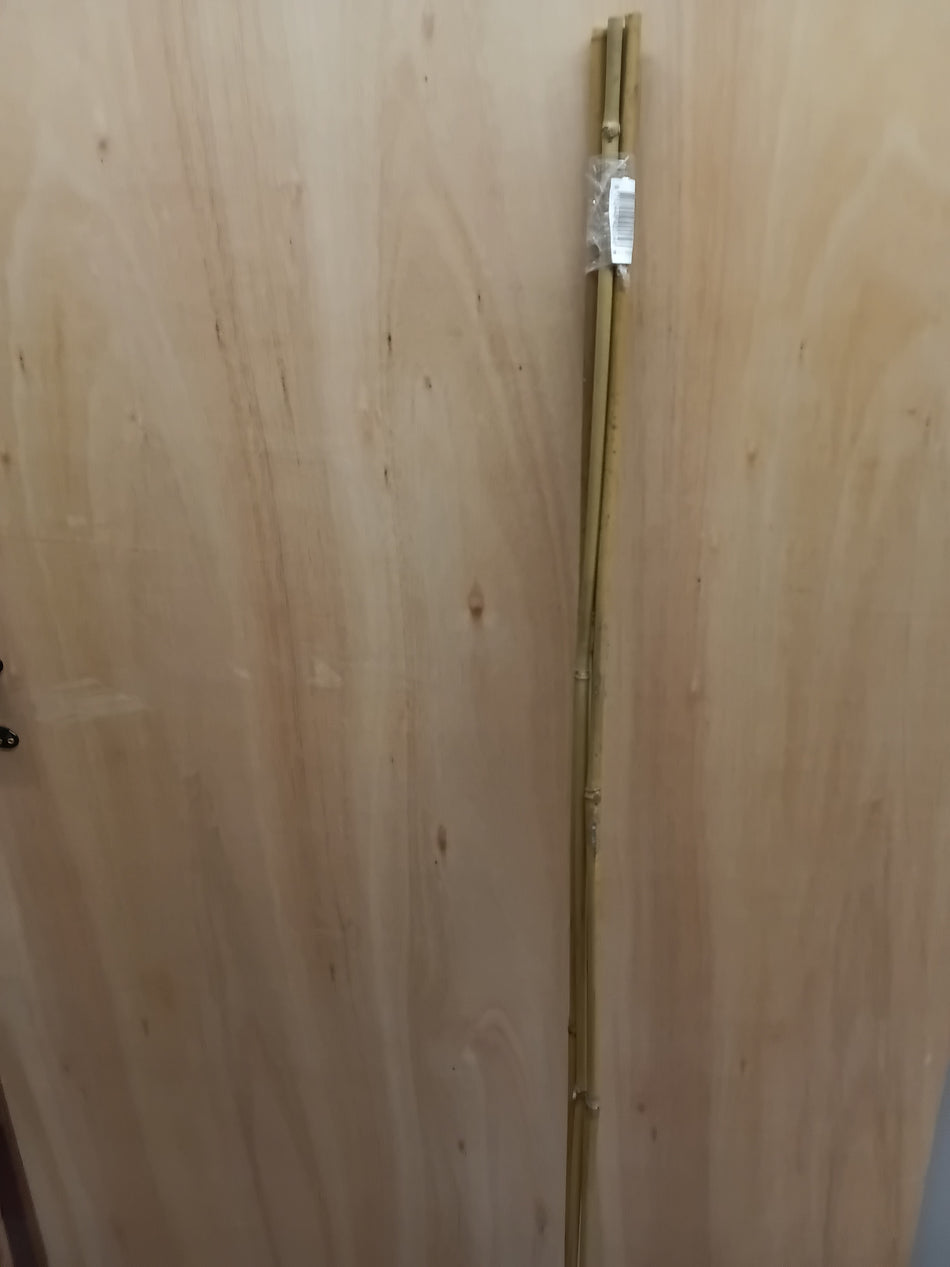 Bamboestokken 150 cm